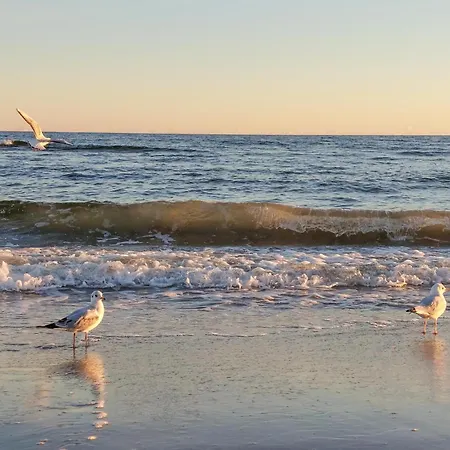 Semesterbostad Cozy In With Kitchen *