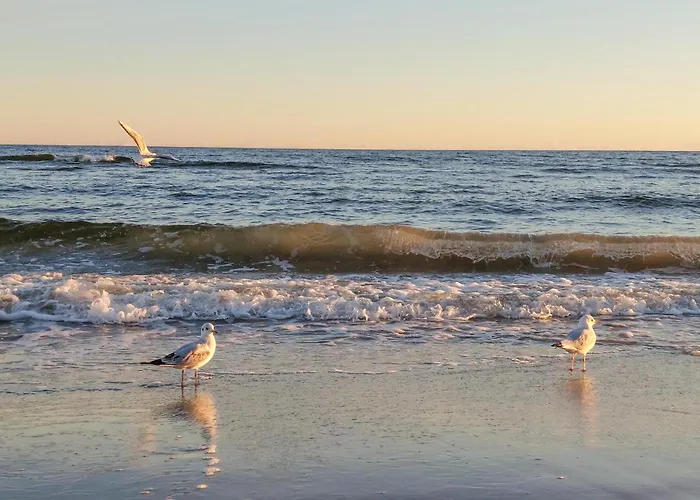 Holiday home Cozy In With Kitchen *